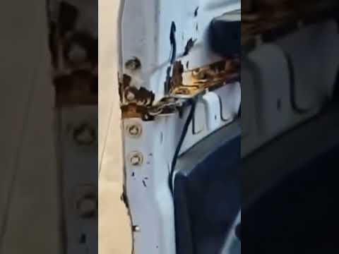 Parte 7# !Así fueron mis vacaciones En bahía solano chocó Colombia 🫢 #bahiasolano #vacaciones #mar