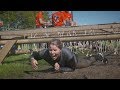 Zaterdag Mud masters 2019