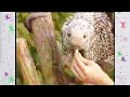Barney S Let S Go To The Zoo 2001 Home Video Trailer