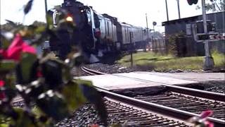 preview picture of video 'Union Pacific 844 Navasota, Texas October 29, 2012'