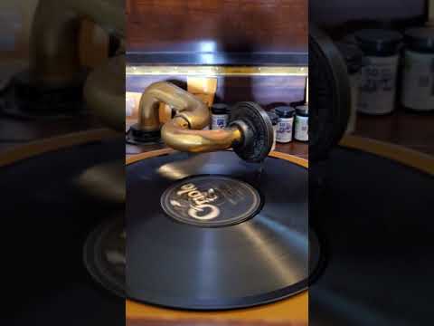 Shirt Tail stomp - Ted White's Collegians  Oriole Records #1544 1929 (The Whoopee Makers)