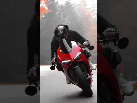 DUCATI PANIGALE V4S - PURE BEAST / brutal-bikes.com #shorts