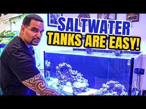 Switch to Saltwater Tank for Beginners | Easier Than You Think! (Only 3 Steps)