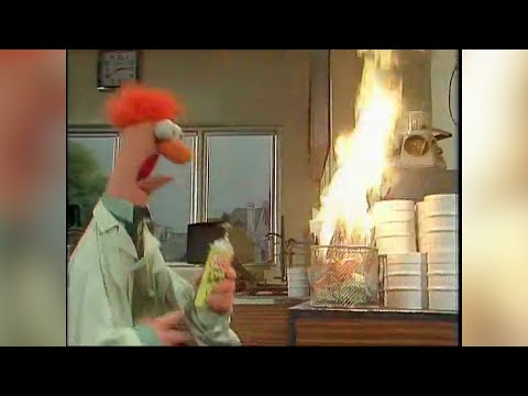 Dr. Bunsen Honeydew & Beaker Montage - 24 Clips