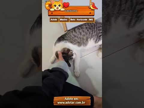 Vídeo de Cleitinho