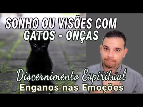 SONHAR OU TER VISÕES COM ONÇA OU GATO - INTERPRETAÇÃO É DISCERNIMENTO