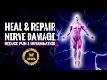 Heal And Repair Nerve Damage Reduce Pain And Inflammation Nerve Regeneration Isochronic Tones