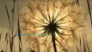 The Midnight Society - Closed Eyes