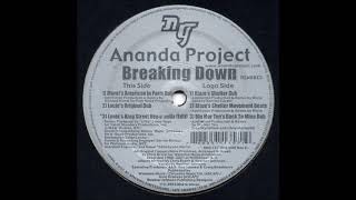 The Ananda Project - Breaking Down (Blaze&#39;s Shelter Dub)