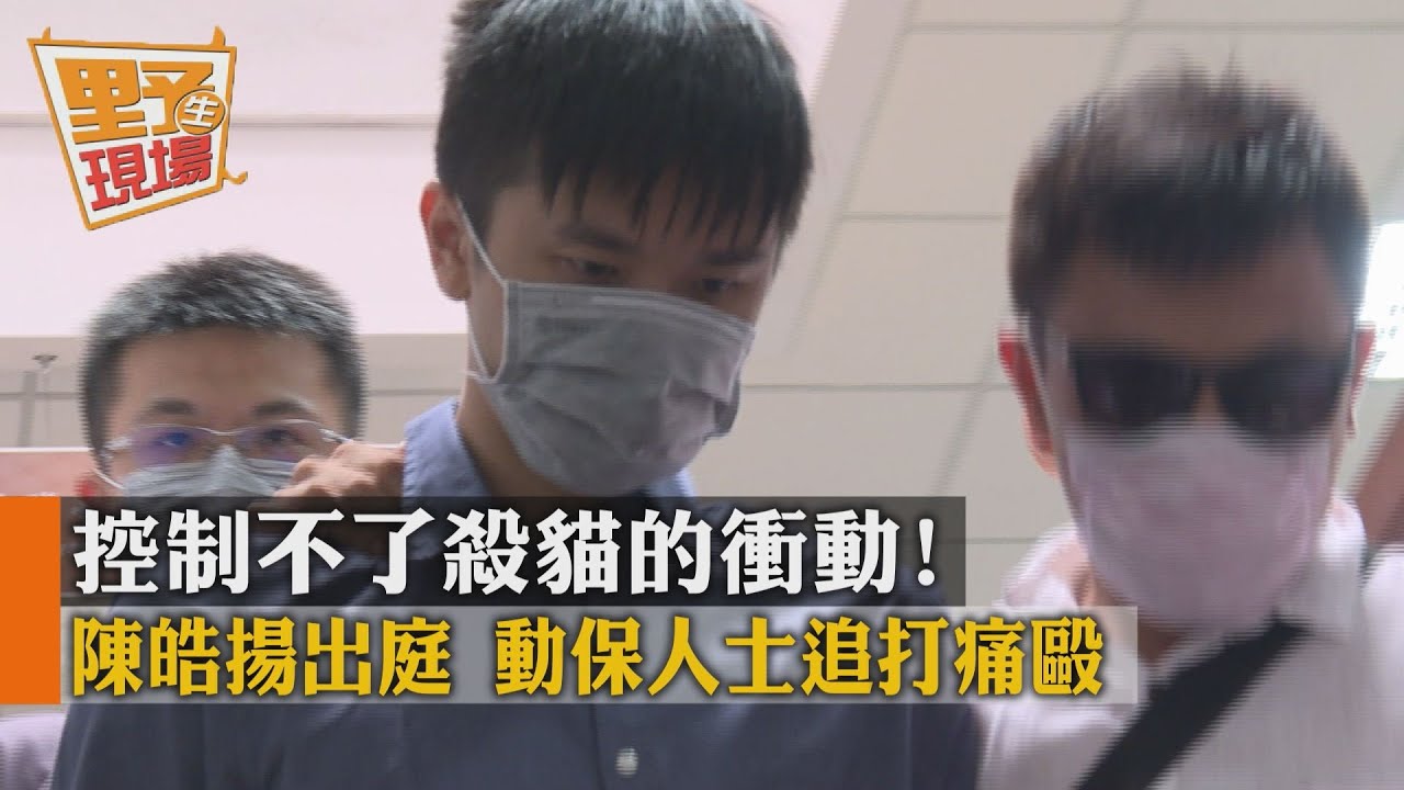 殺貓案出庭！台大生陳皓揚遭打　法警也受傷