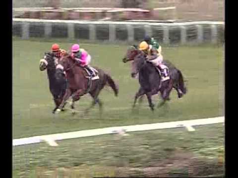 Premio Guido Berardelli 2010 (GR 3)