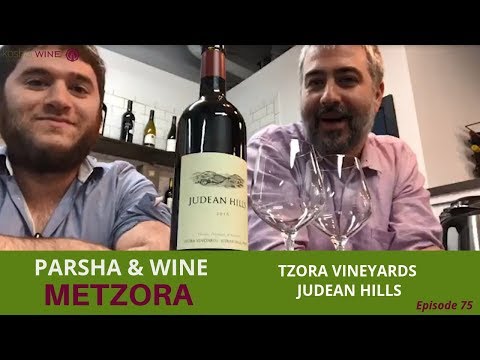 Parshat Metzora - Tzora Vineyards Judean Hills | Parsha & Kosher Wine Ep. 75
