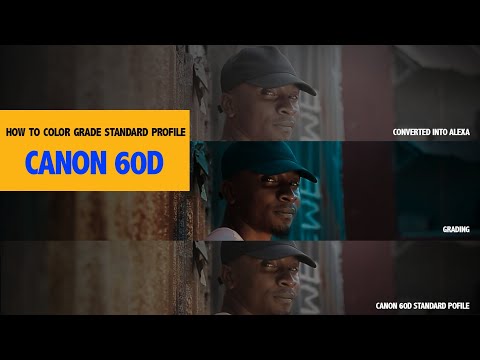 How I color grade standard profile  looks like Arri Alexa log c CANON 60D
