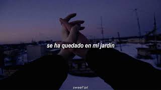 hombres g; te vi (letra).