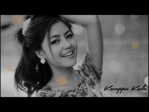 karuppu kuda song //sheezay//havoc brothers//whatsapp status//saavadi production