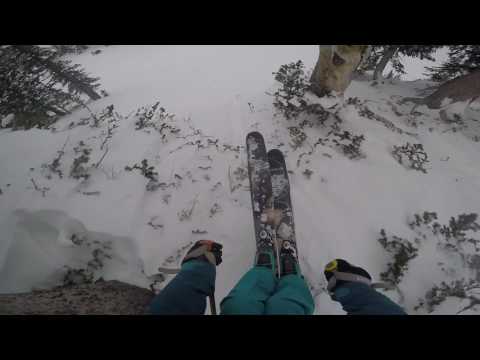 Andrew Bird Season Edit