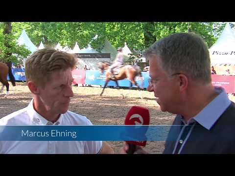 Verbandshengste auf dem Hamburger Derby - Million Dollar