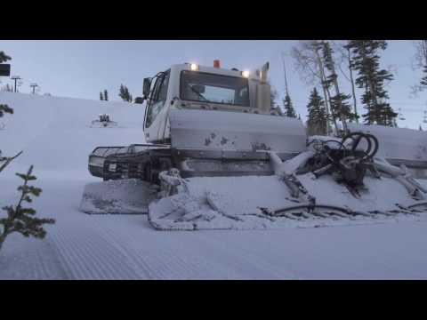 Fresh Groomed Powder