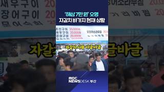 가을 축제 시즌..또 바가지 논란?