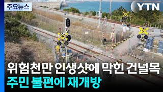 '위험천만 인생샷'에 막힌 건널목...주민 불편에 재개방 / YTN