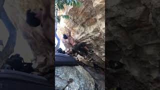 Video thumbnail of Rasta Chronic upgrade, V9. Cocalzinho de Goiás