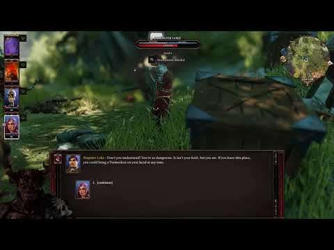 Fort Joy Large Voidwoken Battle in Forest - Tactician - Divinity Original Sin 2 LP #19