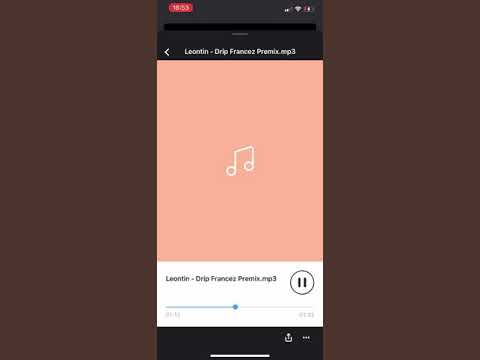 Leontin - Drip Francez feat NMW Berechet , Jet$ki Ariel (leak)