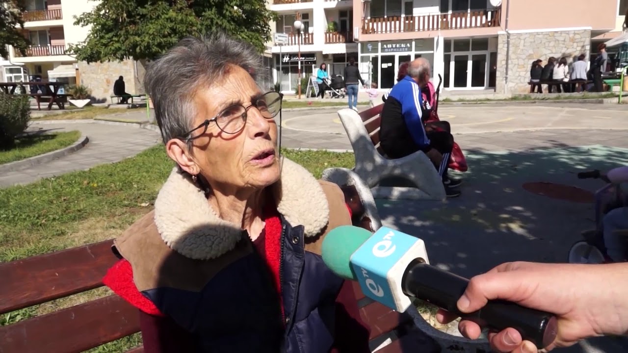 Челен опит: Община Девин реши проблема с бездомните кучета - осинови ги