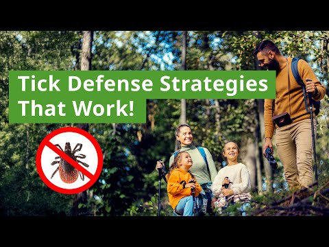 Stay Tick-Free: Proven Strategies to Prevent Tick Bites