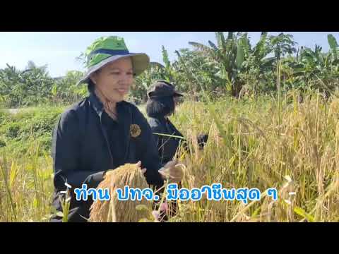 EP.01 ปลูกวันแม่ เก็บเกี่ยววันพ่อdoc