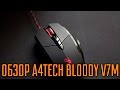 Bloody V7M - видео