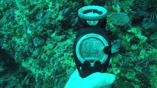 GOPR0728