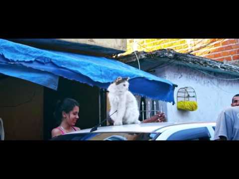 MC Menor do Chapa part. MC Pedrinho - 10 Mandamentos (KondZilla)