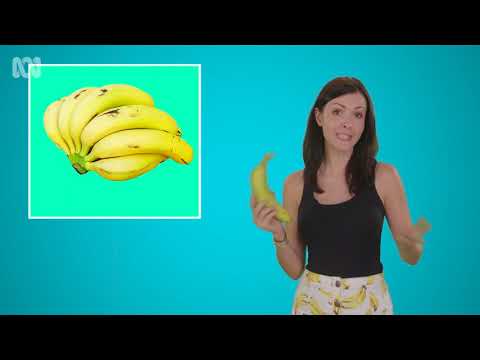 Bananas são ervas? - Sciencey Series 1 Ep 9