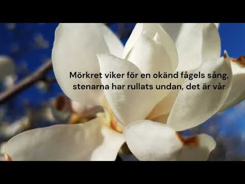 Lukaspassionen - Rolf Martinsson - short version