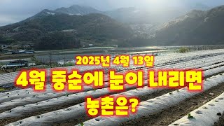 눈내린날 농촌은 감자밭 배추밭 옥수수밭 양상추 등 충북 괴산군 감물면 풀뿌리농장