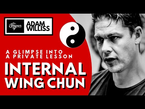 Internal Wing Chun Lesson: Soft Structure of the Arm