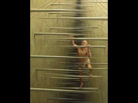 Various works by Ron Francis