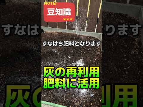庭の灰 低木の根元 野菜植物の効果 使い方