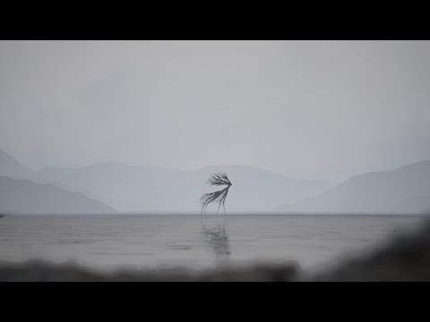 BREATH | 3D Experimental Film by Jung Jongwon