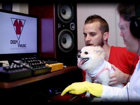 Deep V Music - What Can V Do For You?