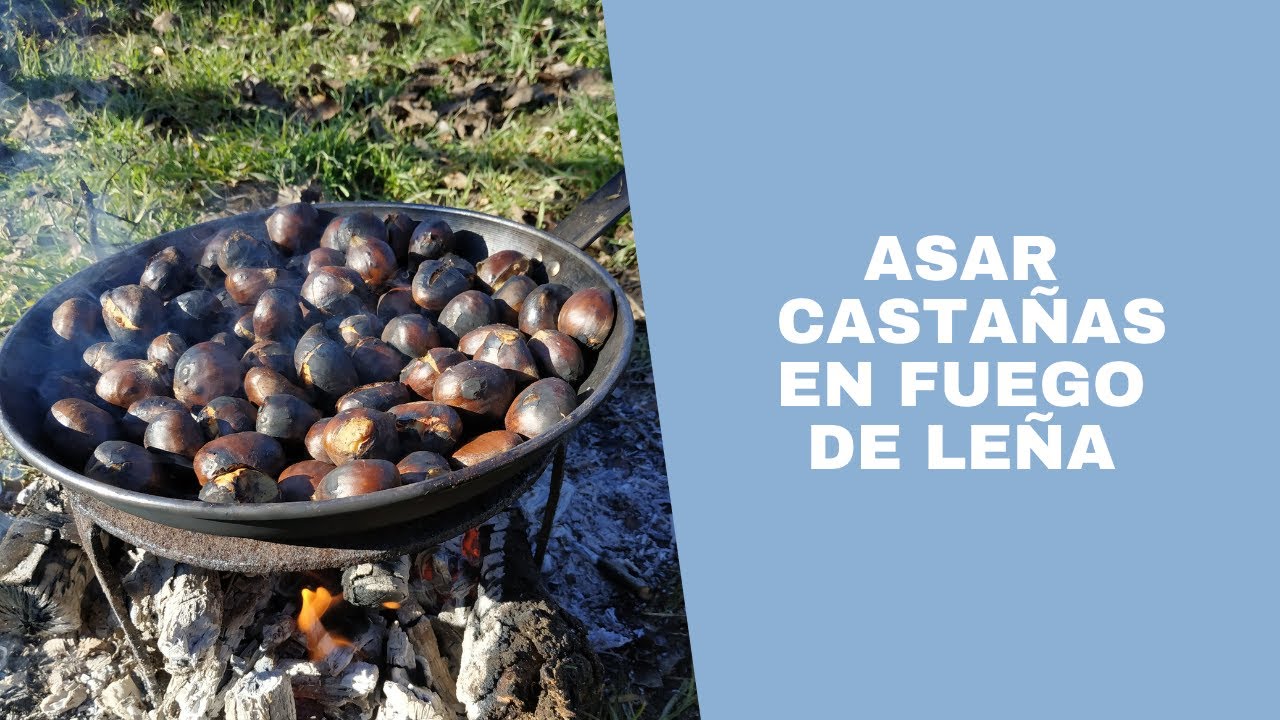 Watch Hacer castañas asadas en fuego de leña Now Hacer castañas asadas en fuego de leña