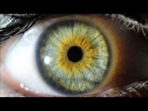 New Hard Dance / Hard Trance Mix February 2017 (1 Hr. HQ Tracklist + Download)