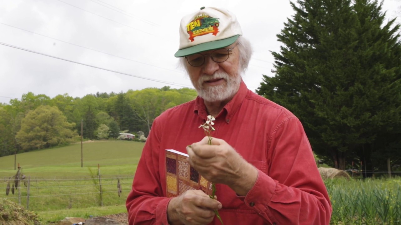 Introduction to Seed Saving