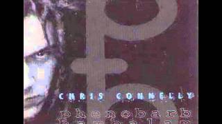 chris connelly - the last of joy