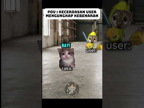 bang user yang cerdik #meme #kucingmeme #kucing #lucu #kucinglucu #fypシ