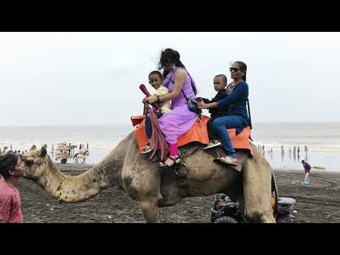 Gunjan and gurmanshu arnala beach 4