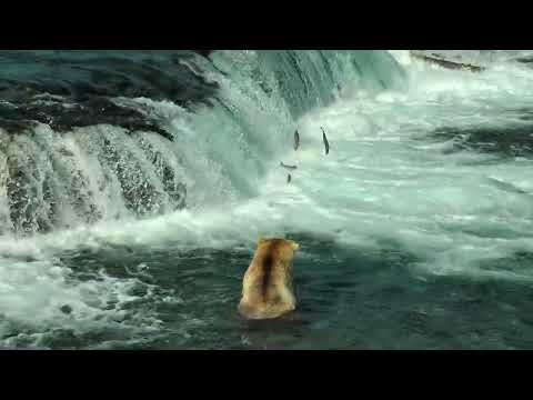 Sped-O - Down By The River (Speed Version)