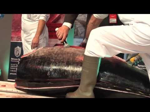 25 01 14 FITUR Ronqueo del Atún