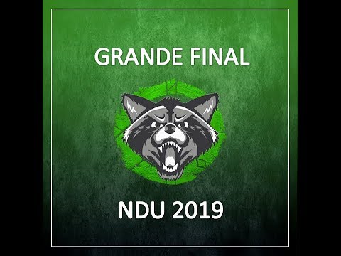 Final NDU 2019 - Guaxinim x Medicina Santos